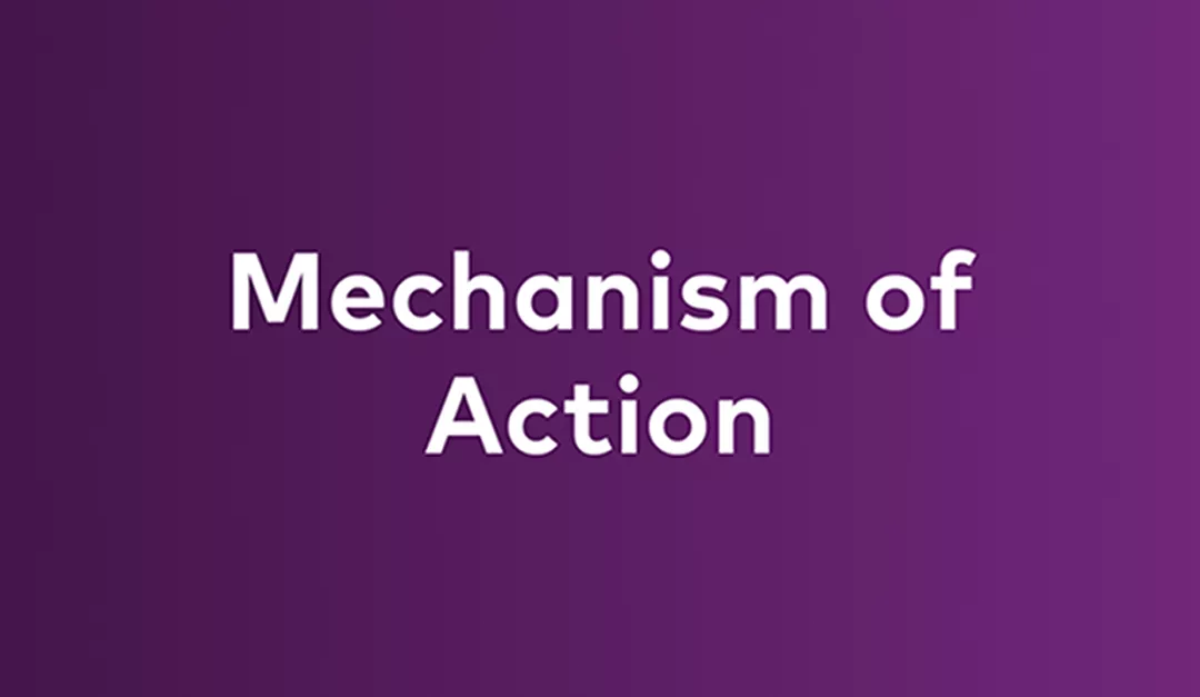 EN_vignette_Mechanism_of_action