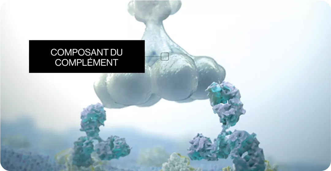 Complement component