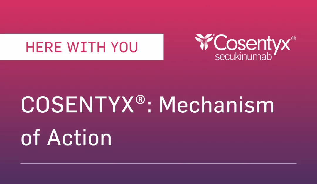 MOA_VIGNETTE_TEST_RESIZE